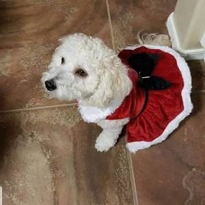 Meet your Posher, Sherry